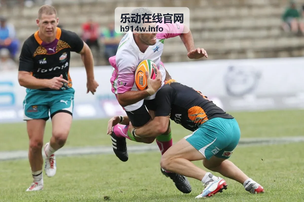 往期发布会完整复盘与实时互动数据回顾